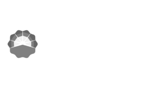 Petrochina